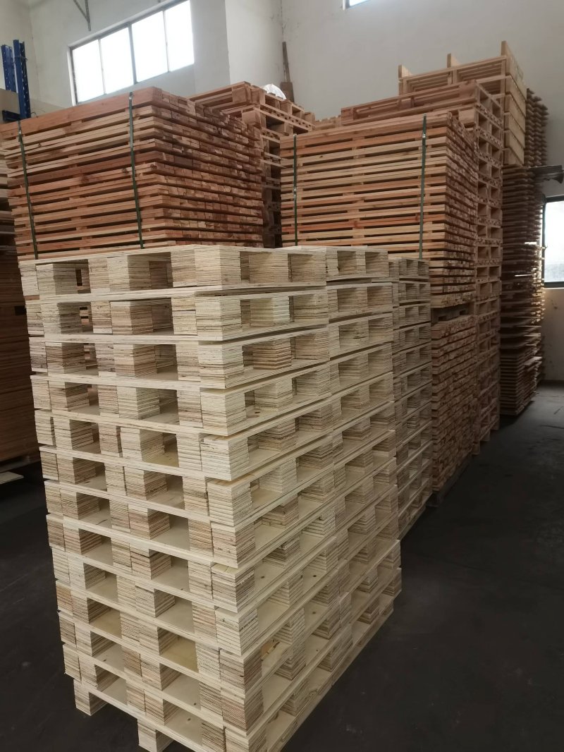 ľ������������